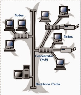 macam jenis topologi jaringan komputer